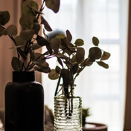 Apartament Polpo Łódź